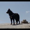20150704_0037